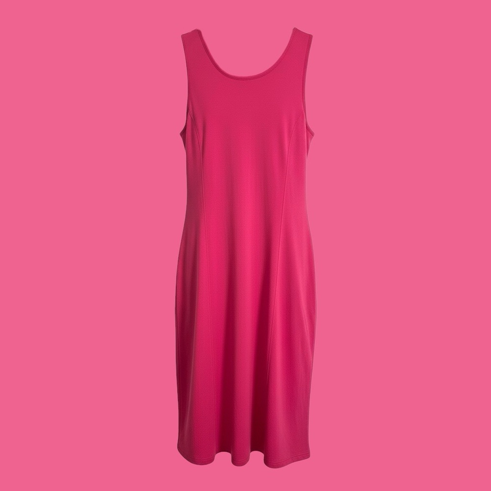 Express Shirt Dress